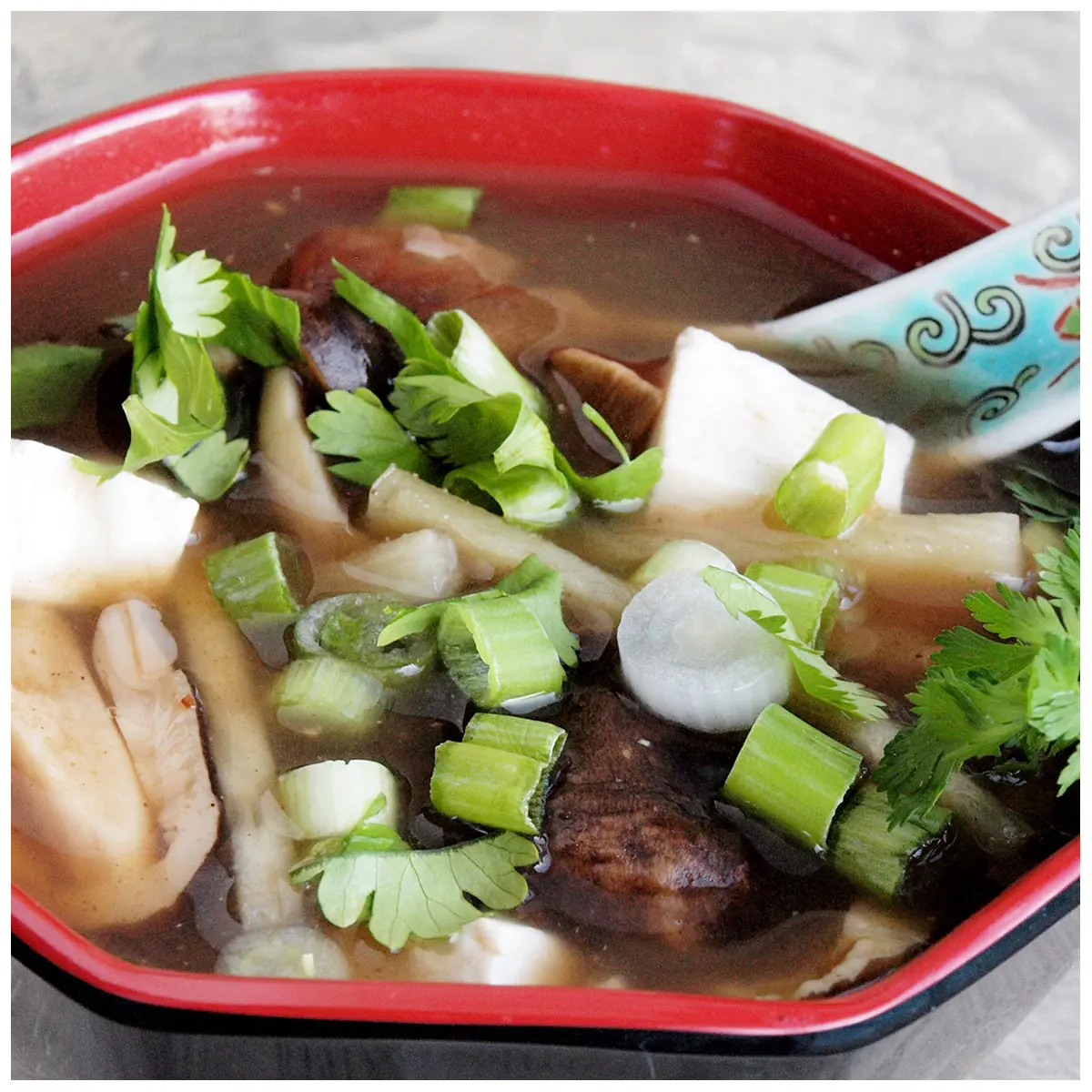 vegetarian-hot-and-sour-soup